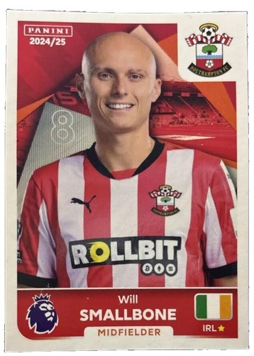 Panini premier league 2025 - league, #