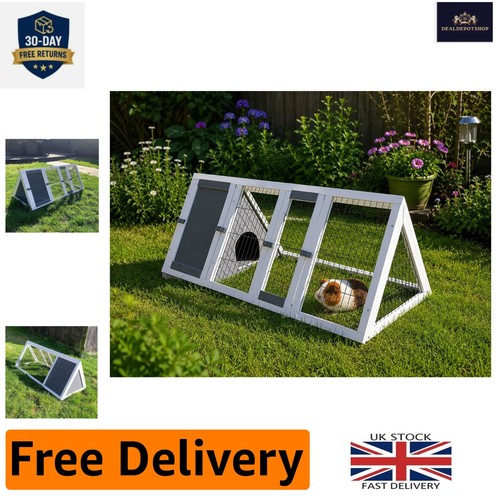 Stylish grey apex rabbit - stylish,