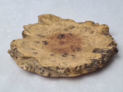 Small modern burr - small, elm