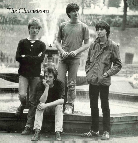 The chameleons tony fletcher - the,