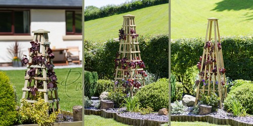 Garden obelisk for climbing - obelisk,