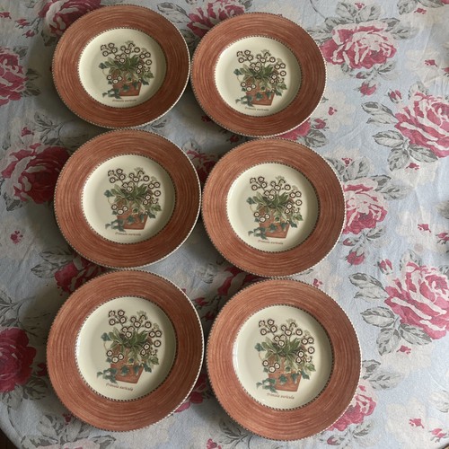 Wedgwood sarah garden - sarah’s,