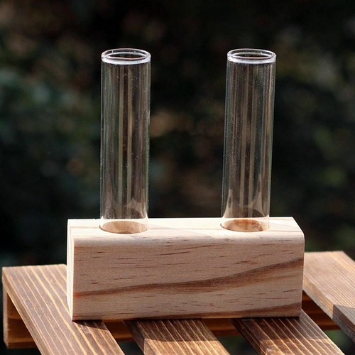 Crystal glass test tube - test, vase