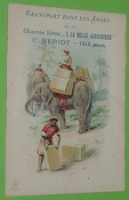 CHROMO 1895-1914 CHICOREE