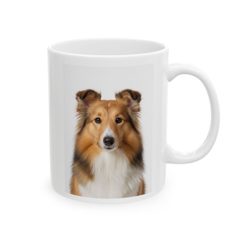 Sable sheltie shetland sheep - shetland,