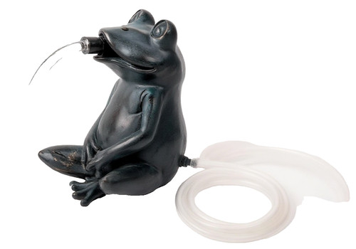 Pond spitter frog garden water - spitter,
