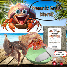 Bugznbits hermit crab - hermit, booster