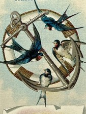 Victoria Trade Card White