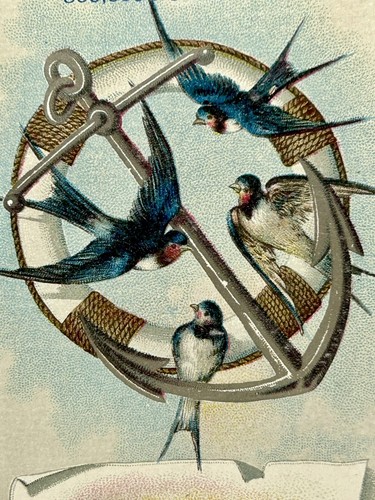 Victoria trade card white - card,