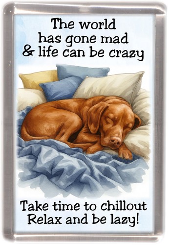 Hungarian vizsla dog - hungarian, fridge