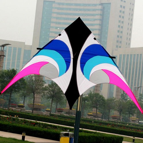 Kite professional easy - kite, fly