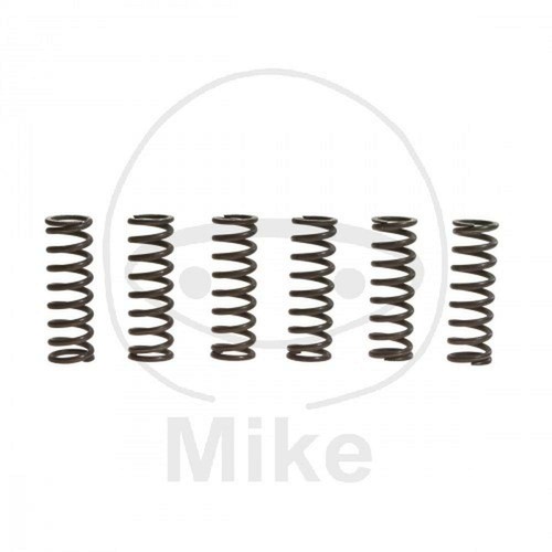 Clutch spring kit - clutch, trw