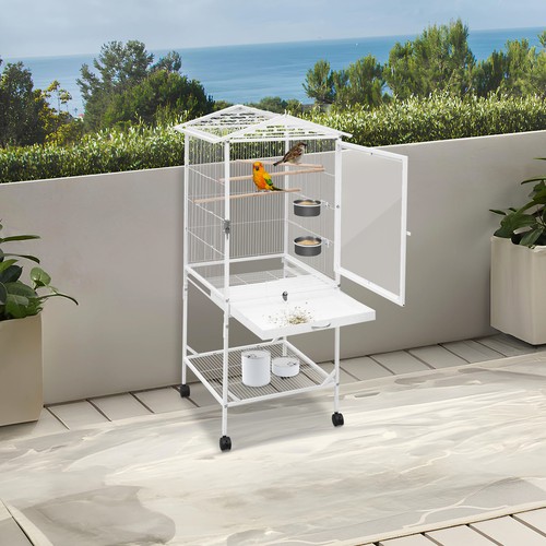 Bird cage large - bird,