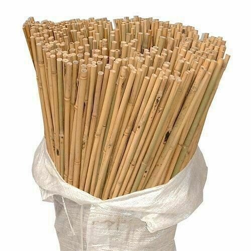 Bamboo canes thick stake - bamboo,