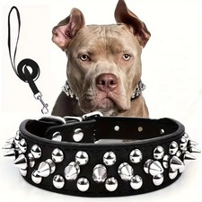 Spiked Studded Leather Dog