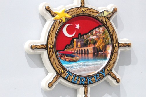 Turkey fridge decor magnet - 3d,