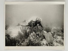 Scientist Wolfgang Hickel GE