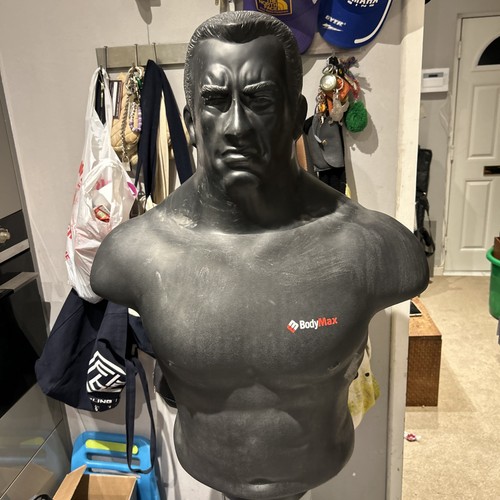 Bodymax pro boxing man free - bodymax,