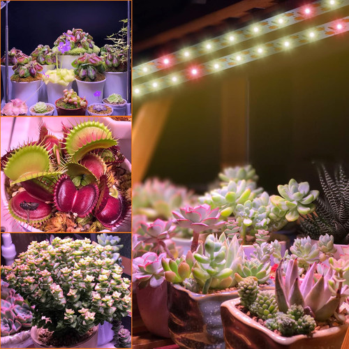 Grow lights for indoor - grow,