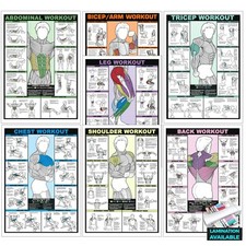 Gym Workout Poster All Body