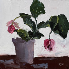 STUDIO SALE OiL Jane Roose