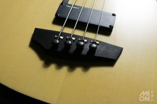 Godin ultra fretless - godin,