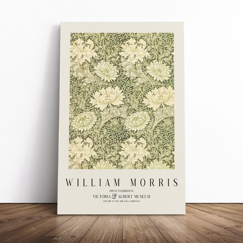 Chrysanthemum william morris - william,