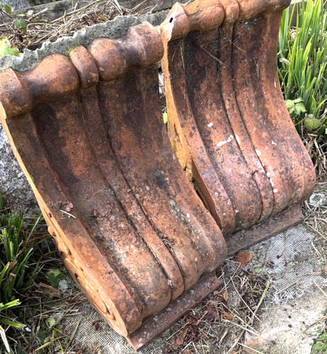 Rare huge pair - rare,