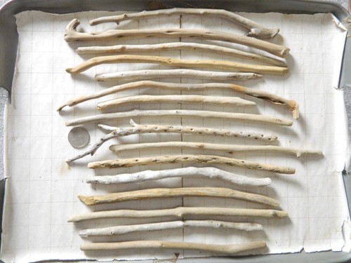 Driftwood stick pieces - driftwood,