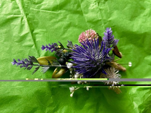 Scottish wild flowers - wild,