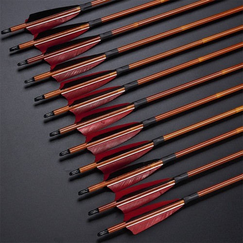 Archery carbon arrows - carbon, 30"