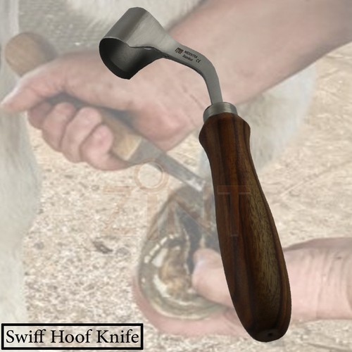 Hoof farrier tool horse - farrier, care
