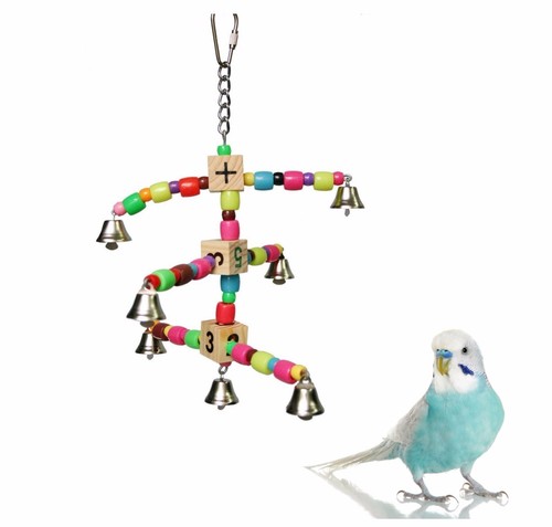 Small bird parrot - small, parrot,
