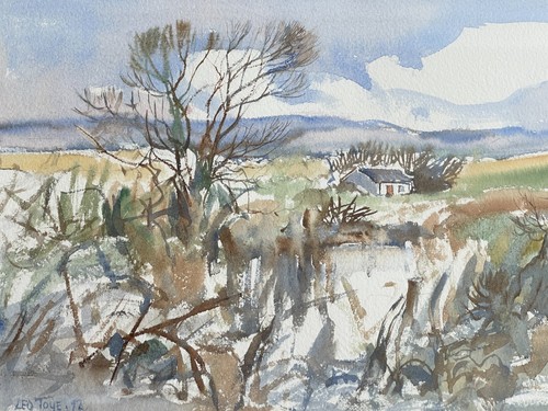 Leo toye irish original - leo,