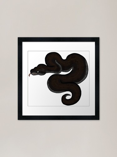 Ball royal python super - python,