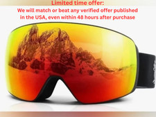 Super Penguin Ski Goggles