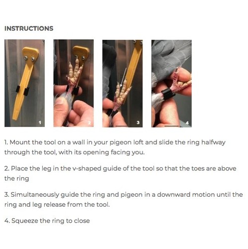 Pigeon leg ring tool - pigeon,