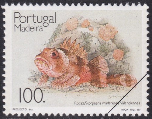 Specimen portugal madeira - specimen,,