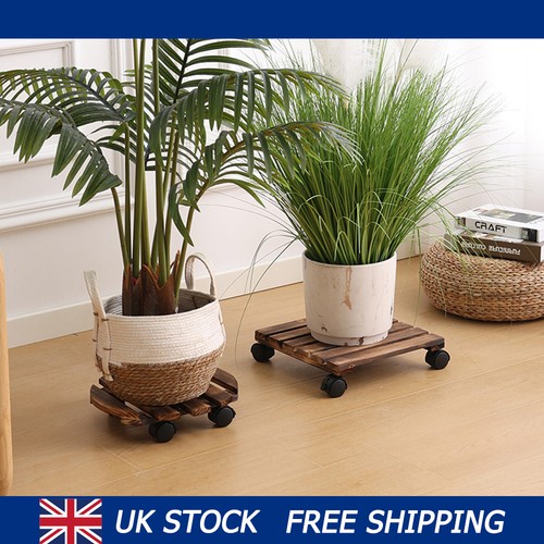 2pcs universal wheel plant - 2pcs,