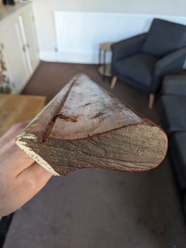 Pigs ear wooden - ear,