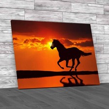 Stunning Sunset Horse Run With