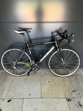 Boardman Men's Team Carbon