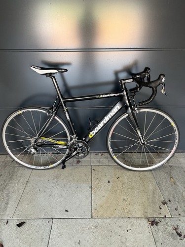 Boardman men team carbon - boardman, men's