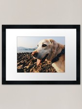 Lego Framed Art Print Framed