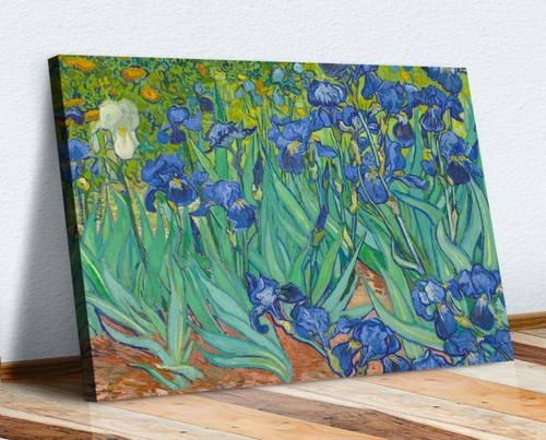Van gogh irises canvas wall - canvas,