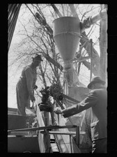 Unharnessing team of horses, Grundy County, Iowa 1940s Old Photo 3