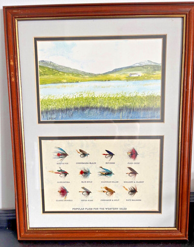 Mount fly fishing flies framed - mount,