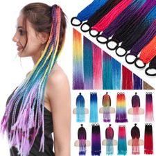 UK Rainbow Braided Ponytail