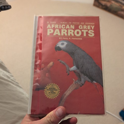 African grey parrots - african,