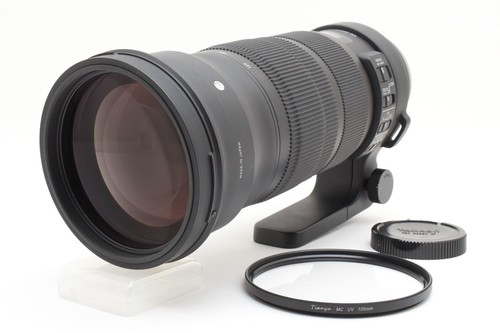 Near mint sigma - sigma, sports
